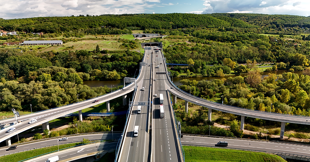 Manutenzione del verde e resilienza delle infrastrutture