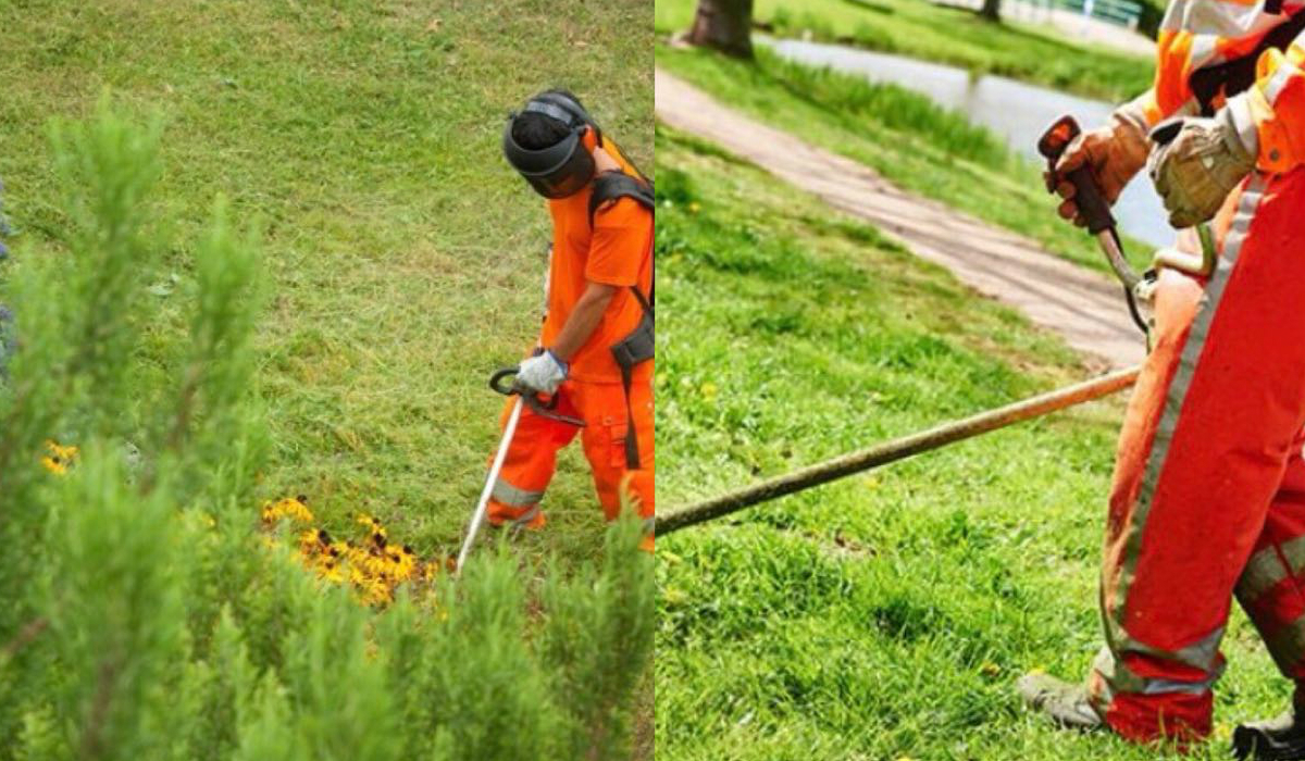 A Ecogest il servizio di manutenzione del verde nelle aree di servizio lungo la A4.